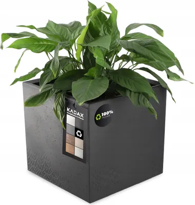 Immagine prodotto di Fioriera quadrata in plastica "Sore" di KADAX, vaso con rotelle, nero, effetto cemento