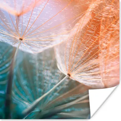 Produktbild von MuchoWow® Poster Blume - Löwenzahn - Pflanze 75x75 cm - Wand Dekoration