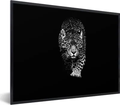Produktbild von MuchoWow® Gerahmtes Poster Tiere - Schwarz - Leopard - Weiß - Wild 40x30 cm - Poster mit Schwarzem Bilderrahmen Wandposter Rahmen Foto Bilder - Kunstposter - Wanddekorationen
