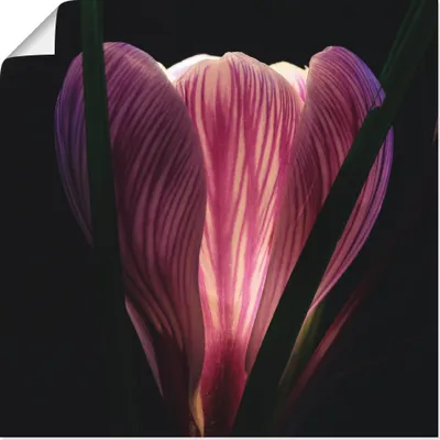 Produktbild von ARTland Poster Beleuchtet Größe: 30x30 cm