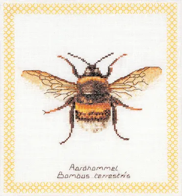 Produktbild von Thea Gouverneur Kreuzstich Stickpackung "Hummel Weiß Aida", Zählmuster, 20x21cm