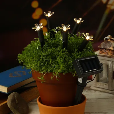 Produktbild von LED Solar Lichterkette Blüten - Gartenstecker mit 5 Blumen - L: 1,2m - H: 17cm - Lichtsensor