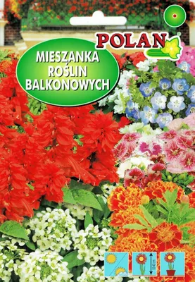 Zdjęcie produktu dla NASIONA Kwiatów Mieszanka Balokowa Mix 1,5g Kwiaty Na Balkon 412032