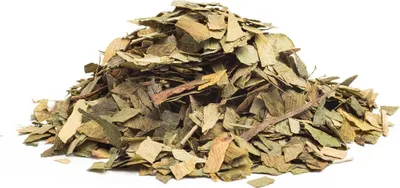 Produktbild von GINGO BLÄTTER - das Heilkraut, 10g