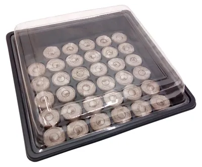 Image de BURI Kit de culture Mini-serre avec 35 tablettes de gonflement Serre Plateau de culture Frühbeet