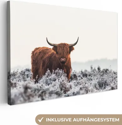 Produktbild von OneMillionCanvasses® - Leinwandbilder - 140x90 cm, Schottisches Hochlandrind - Tier - Natur - Weiß, Wandbilder Kunstdruck Wanddekoration - Hochland Rind - Kuh - Gemälde auf Holzrahmen