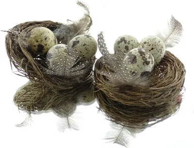 Produktbild von Oster-Deko Nest mit Wachteleiern & Federn aus Naturmaterialien - 2er-Pack