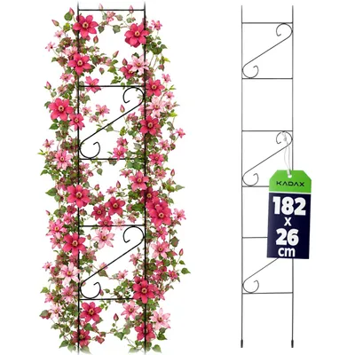 Zdjęcie produktu dla KADAX Pergola Podpora Ogrodowa Do Kwiatów metalowa Na Kwiaty Róże 180cm Drabinka
