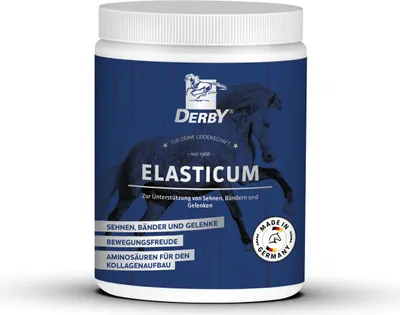 Produktbild von Derby Elasticum 700 gr.
