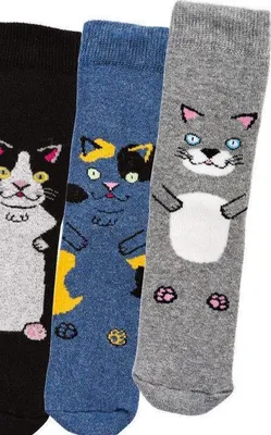 Produktbild von 3er Pack Thermosocken Katze blau grau 27-30