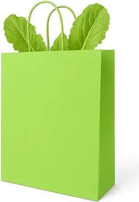 Obrázok produktu pre Papierová taška na darčeky 230 x 120 x 300 mm, zelená, na nákupy