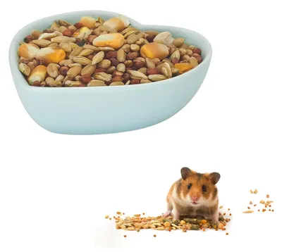 Produktbild von Hamsterfressnapf Nagerfressnapf Futternapf - 8 x 7 x 2,5 cm - Keramik - Blau - Für Hamster und Gerbil