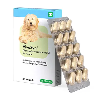 Produktbild von 30 Tabletten VivoSyn