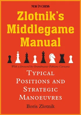 Obrázok produktu pre Zlotniks Middlegame Manual