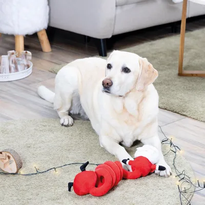 Produktbild von Beeztees Hundespielzeug Santa Spirale aus Plüsch