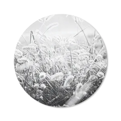 Produktbild von MuchoWow® Mauspad Mousepad Winter - Schwarz - Weiß - Eis 40x40 cm - Mousepads - Maus Mat - Pad - Mausunterlage - Schreibtisch Accessoires