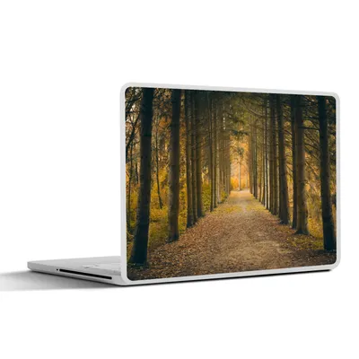 Produktbild von MuchoWow® Laptop Aufkleber Sticker Cover Pfad - Bäume - Wald 30x22 cm - Laptop-Sticker