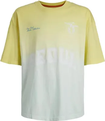 Produktbild von Jack & Jones Dipdye Kurzarm-t-shirt Gelb 14 Years Jungen Gelb 14 Years