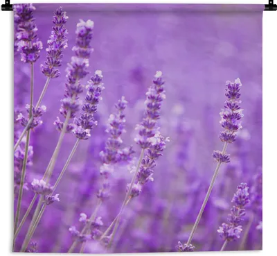 Produktbild von MuchoWow® Wandteppich Wandbehang Lavendel - Nahaufnahme - Blumen - Lila 120x120 cm Tapisserie Dekoration Wandtuch - Modern - Baumwollgewebe