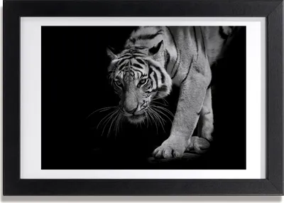 Produktbild von Bild 30x20 MDF-Rahmen, Wandkunst Tiger