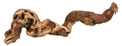 Produktbild von TRIXIE Weinrebe, wassergestrahlt, M: 30–40 cm