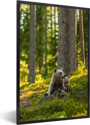 Produktbild von MuchoWow® MuchoWow® Gerahmtes Poster Bär - Braun - Wald 20x30 cm - Poster mit zchwarzem Bilderrahmen - Drucken - Bilder Poster im Rahmen