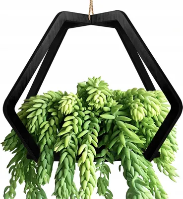 Immagine prodotto di Vaso di fiori appeso cesto di piante appeso pianta letto decorazione letto di fiori appeso legno
