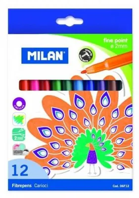Image de Feutres Carioca 12 couleurs MILAN 06F12