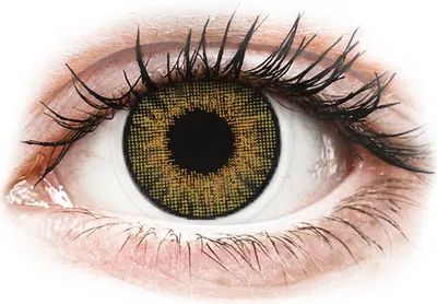 Produktbild von Air Optix Colors - Pure Hazel - ohne Stärke (2 Linsen) Stärke: 0.00, BC: 8.60, DIA: 14.20