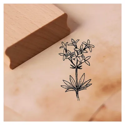 Produktbild von Motivstempel Maikraut - Holzstempel für Scrapbooking - Abdruckgröße 28 x 48 mm