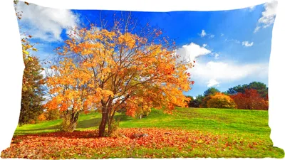 Produktbild von MuchoWow® Zierkissen Sofakissen Wohnzimmer Dekokissen 60x40 cm Baum - Blätter - Herbst - Jahreszeiten - Kopfkissen - Polster mit Foto