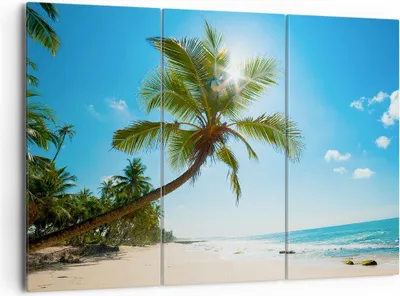 Produktbild von Bild auf Leinwand - Leinwandbild - Strand Palme Meer - 165x110cm - Wand Bild - Wanddeko - Leinwanddruck - Bilder - Kunstdruck - Wanddekoration - Leinwand bilder - Wandkunst - CE165x110-3570