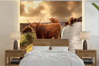 Produktbild von MuchoWow® Fototapete für Wohnzimmer oder Schlafzimmer Wandtapete Vinyl Motivtapete Schottische Highlanders - Himmel - Straße - 280x280 cm - Hintergrundbild