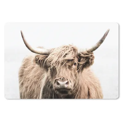 Produktbild von MuchoWow® Schreibtischunterlage Schottischer Highlander - Tiere - Fell 60x40 cm - XXL Mauspad - Großes Mauspad