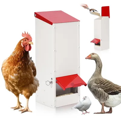 Obrázok produktu pre Automatický podávací systém krmiva pre slepice s krytom odolným voči dažďu