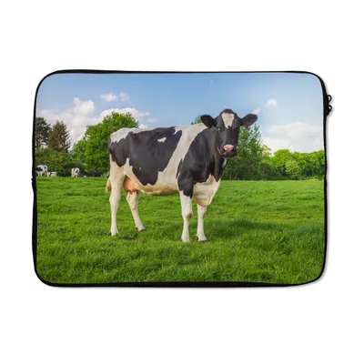 Produktbild von MuchoWow® Laptop Hülle 13 Zoll Kuh - Gras - Tiere Laptoptasche - Laptophülle - Sleeve - Rundumschutz