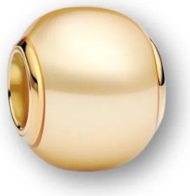 A close-up studio shot of a single gold charm.