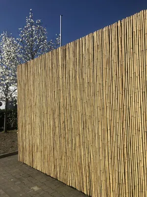 Produktbild von Sichtschutz aus Bambus - Rollzaun ATY NATURE (Höhe x Breite) - 90 cm x 180 cm