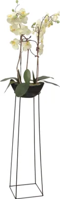 Produktbild von Pflanzenständer / Blumenständer schwarz