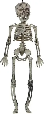 Produktbild von Skelett-Hängedeko Halloween-Deko grau 30cm - Einheitsgröße