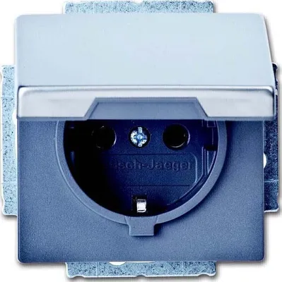 Immagine prodotto di Busch Jaeger 2018-0-1490 Steckdose CEE 7/3 Grau (2018-0-1490)