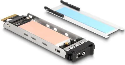 Produktbild von Delock Wechselrahmen Einschub 1 x M.2 NMVe SSD für Wechselrahmen 47028