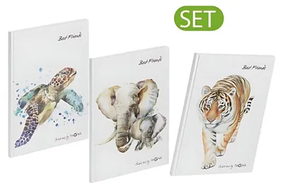 Produktbild von Pagna Set Freundebuch Save me No.3 60S 3 Stück