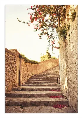 Produktbild von Wallario Wandbild Steinerne Treppe in Italien, Größe: 61 x 91,5 cm, Poster mit rahmenlosen Bildhalter
