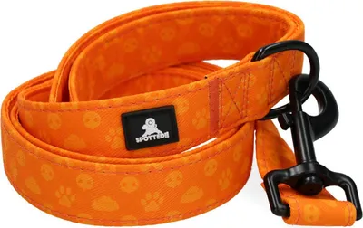 Produktbild von Spotted! Pro Hundeleine Perfect Leash orange, Länge: 120 cm