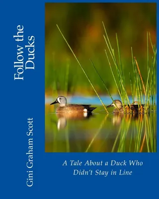 Produktbild von Follow the Ducks
