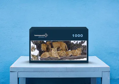 Produktbild von hansepuzzle 30117 - Löwenrudel Puzzle, 1050 Teile, Tierwelt, 60,0 x 46,0cm mit hochwertiger Aufbewahrung, Kartonbox und wiederverschließbarem Beutel