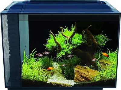 Produktbild von Aquarium Fluval Spec XV 60 l mit LED Beleuchtung und Filtersystem schwarz