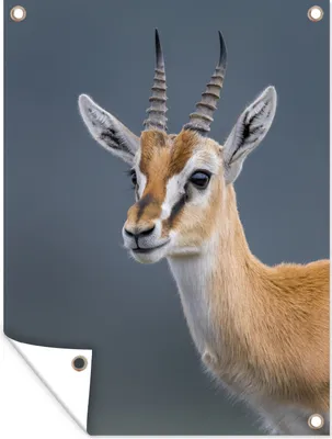 Produktbild von MuchoWow®