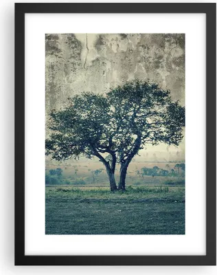 Produktbild von Gerahmtes Poster - Schwarzer Rahmen - Baum Natur Feld - 30x40 cm - Wand Bild - Wanddeko - Wandbilder - Kunstposter - Wandposter - Bilderrahmen - Bilder - Kunstdruck - Wandbild - P2BPA30x40-3627